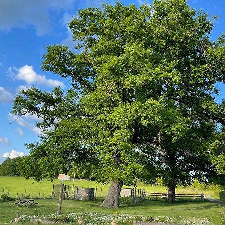 Masoe Des Chatards Neuilly-le-Réal Exteriér fotografie